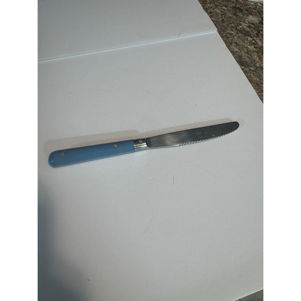 Interpur Stainless Korea Blue Plastic Handle Serrated Dinner Knife Triple Rivet